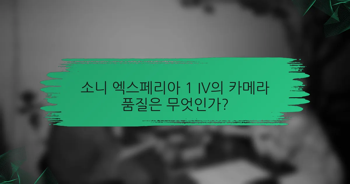 소니 엑스페리아 1 IV의 카메라 품질은 무엇인가?