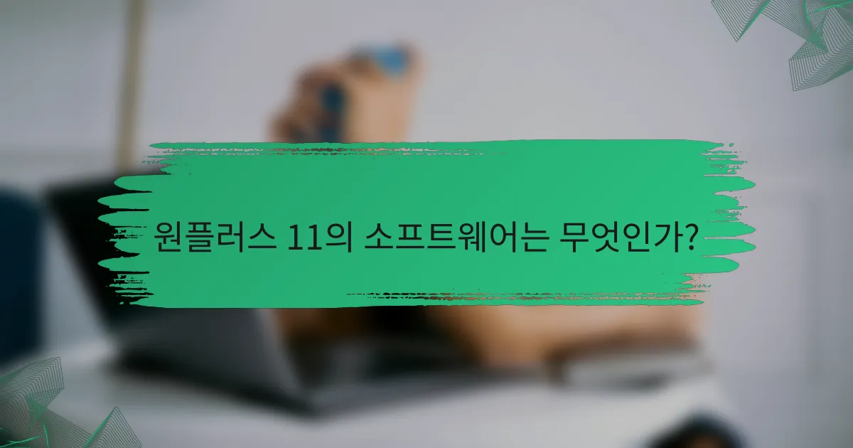 원플러스 11의 소프트웨어는 무엇인가?