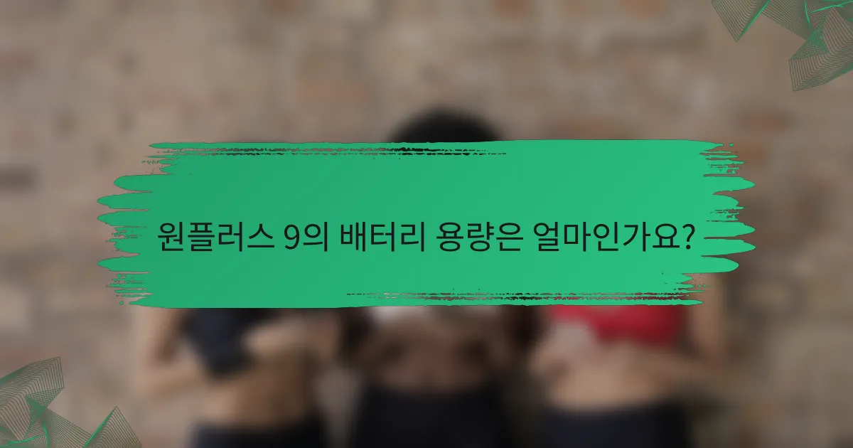 원플러스 9의 배터리 용량은 얼마인가요?